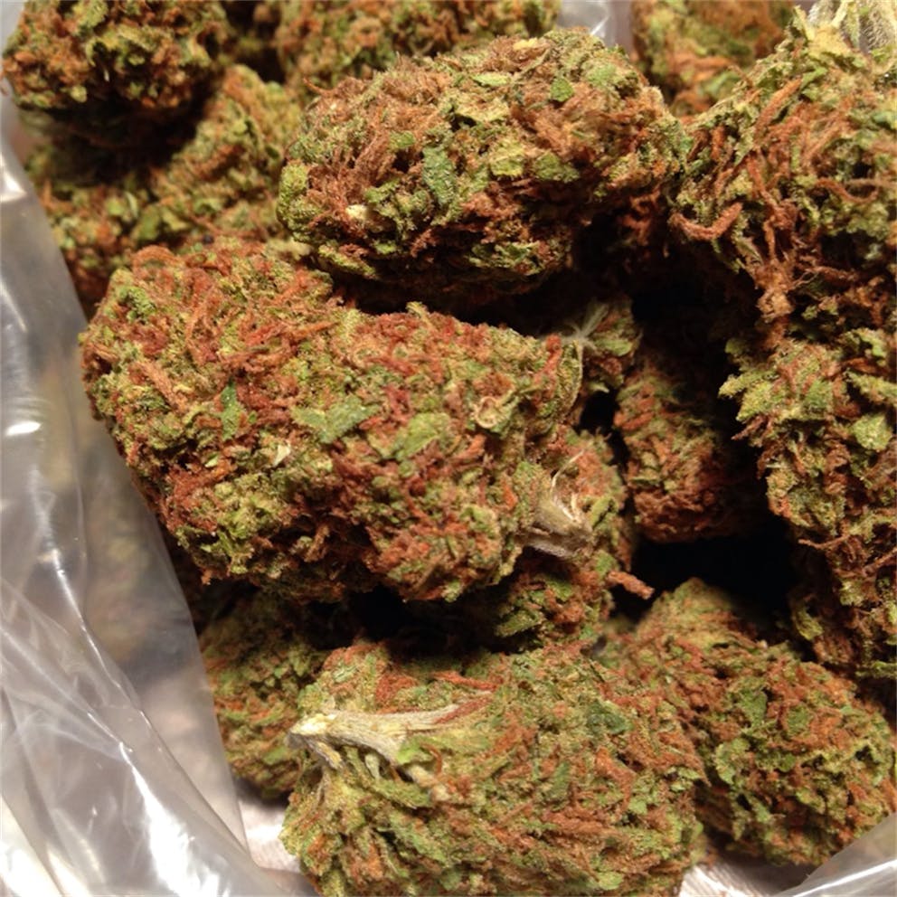 Photos of Red Dragon Weed Strain Buds Leafly