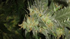 User uploaded image of Red Dwarf