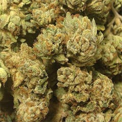 User uploaded image of Red Eye OG