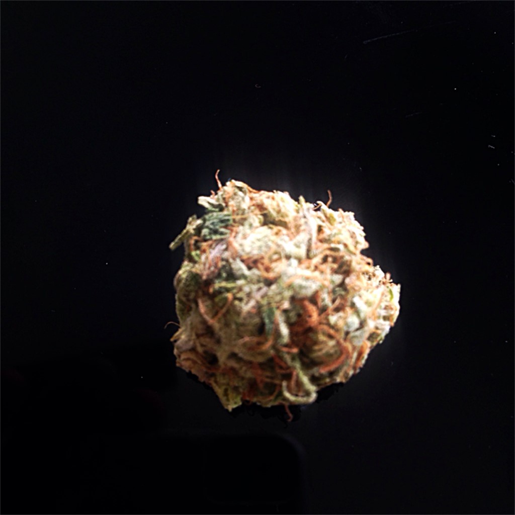 gambling kom over Emotion Red Haze aka Colombian Red Haze Weed Strain Information | Leafly