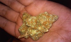 User uploaded image of Red Headed Stranger