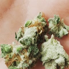 User uploaded image of Redd Cross