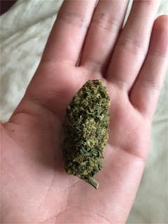 User uploaded image of Redwood Kush