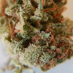 User uploaded image of Redwood Kush