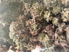 User uploaded image of Remedy