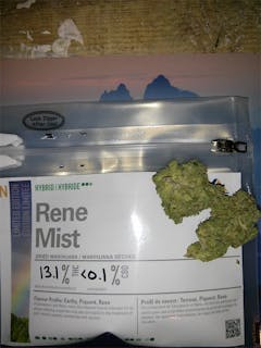 User uploaded image of Rene Mist