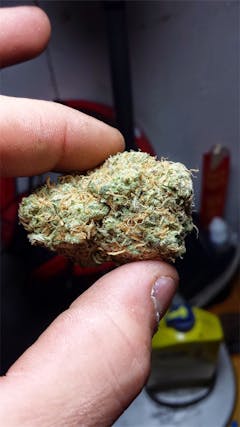 User uploaded image of Richie Rich