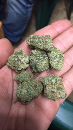 User uploaded image of Ringo's Gift