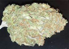 User uploaded image of Ringo's Gift