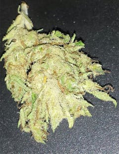 User uploaded image of Ringo's Gift