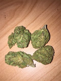 User uploaded image of Ringo's Gift