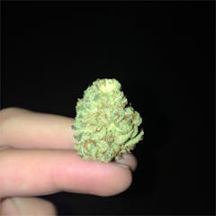 User uploaded image of Ripped Bubba