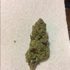 User uploaded image of Robert Plant