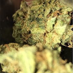 User uploaded image of Rockbud