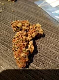 User uploaded image of Rockbud