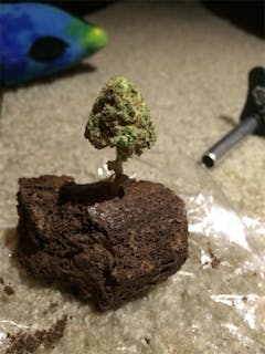 User uploaded image of Rocklock