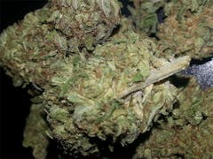 User uploaded image of Rockstar Master Kush