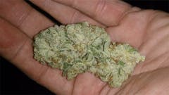 User uploaded image of Rockstar Master Kush