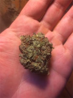 User uploaded image of Rockstar