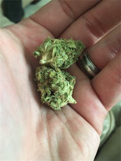 User uploaded image of Rocky Mountain Blueberry