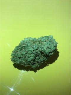 User uploaded image of Rocky Mountain Blueberry