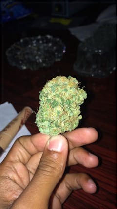 User uploaded image of Rocky Mountain High