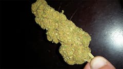 User uploaded image of Rocky Mountain High