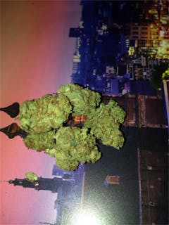 User uploaded image of Rollex OG Kush