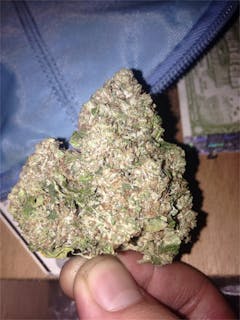 User uploaded image of Rollex OG Kush