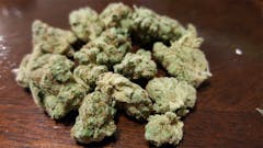 User uploaded image of Rolls Choice