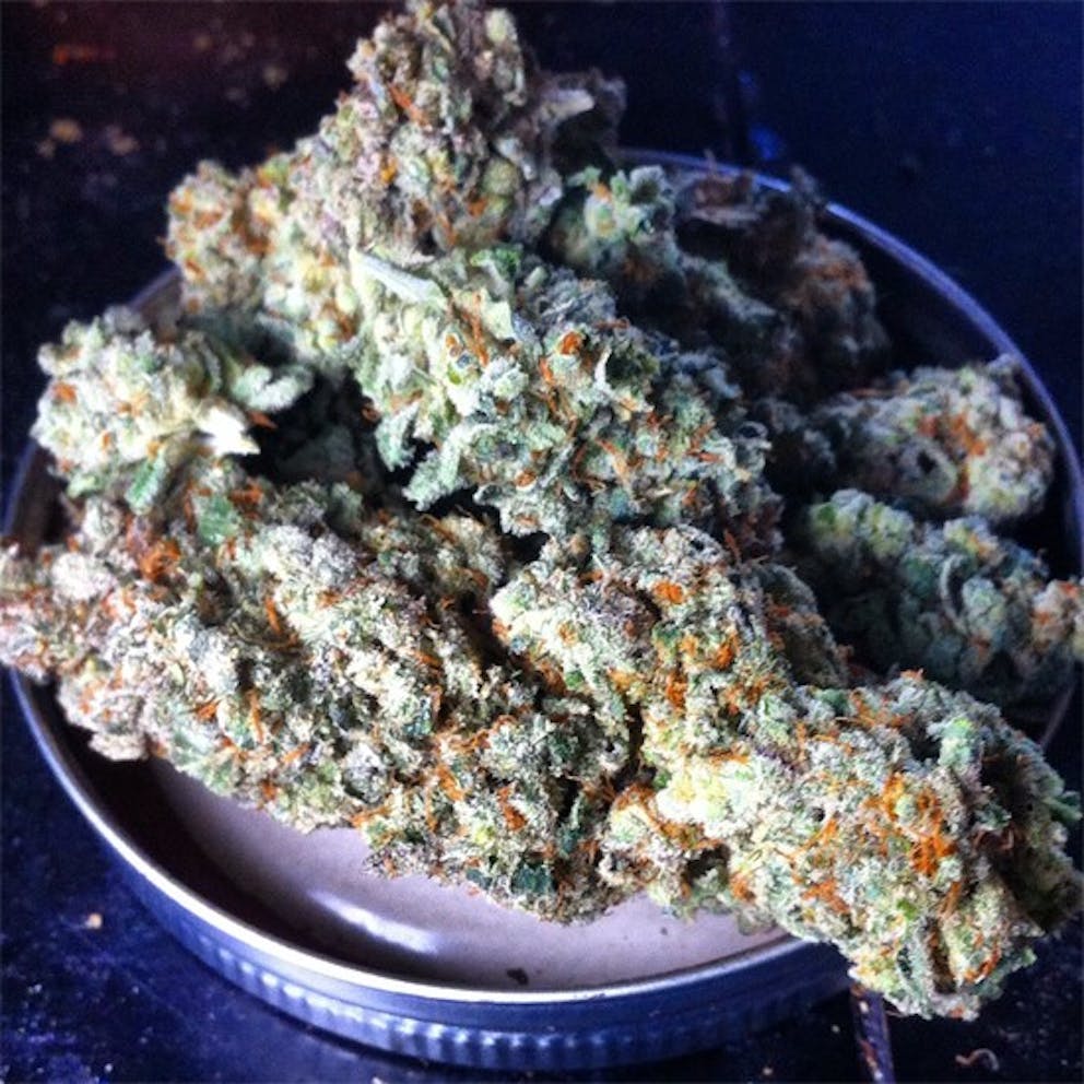 Photos of Romulan Grapefruit Weed Strain Buds Leafly