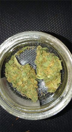 User uploaded image of Romulan Grapefruit