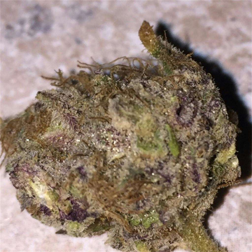 Romulan Grapefruit Marijuana Strain Information Leafly