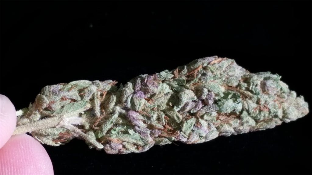 Photos of Romulan Grapefruit Weed Strain Buds Leafly