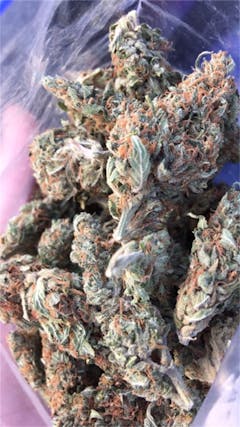 User uploaded image of Romulan Grapefruit