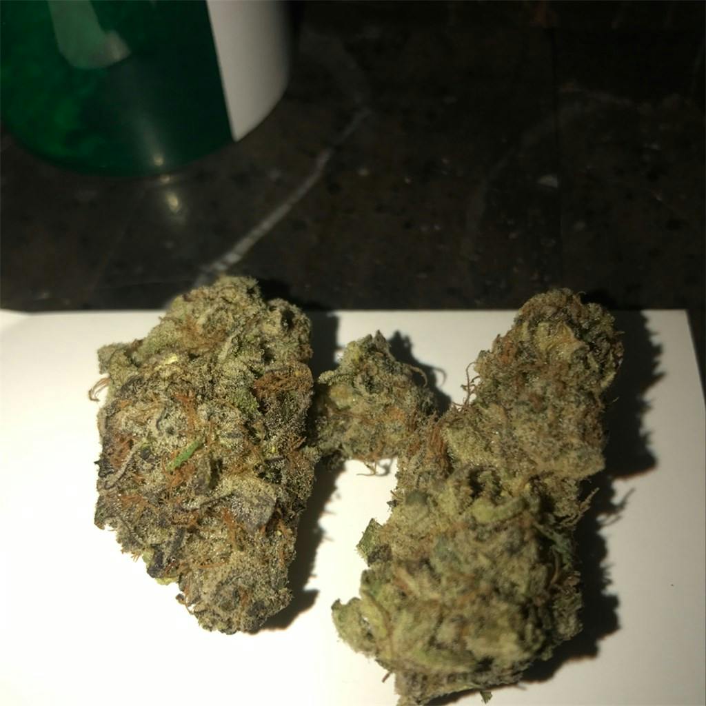Romulan Grapefruit Marijuana Strain Information Leafly