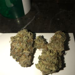 User uploaded image of Romulan Grapefruit