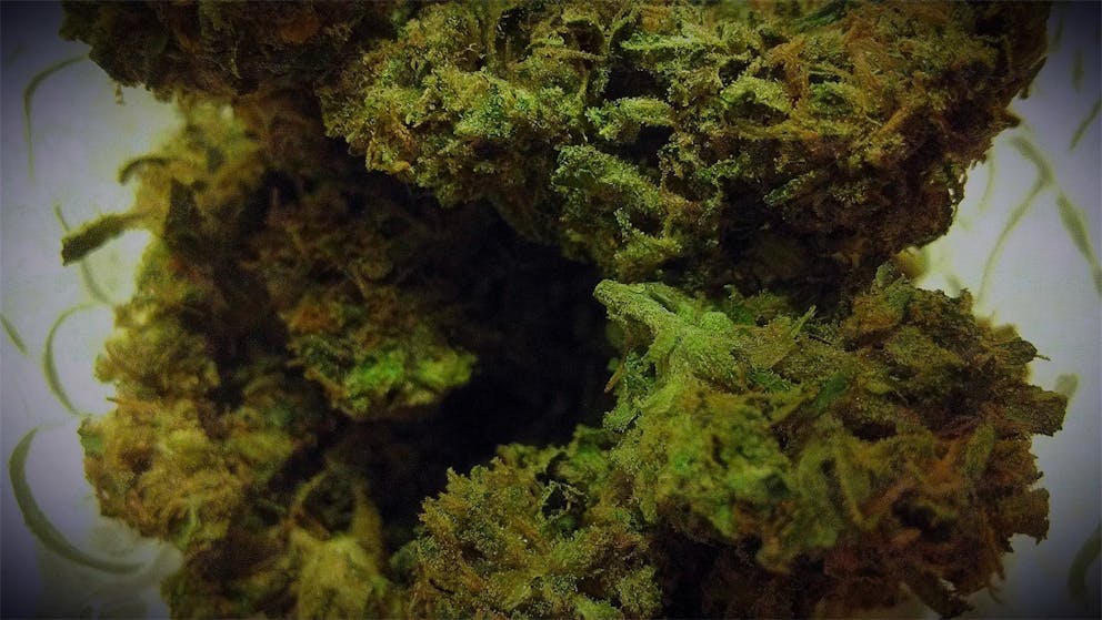 Photos of Romulan Grapefruit Weed Strain Buds Leafly