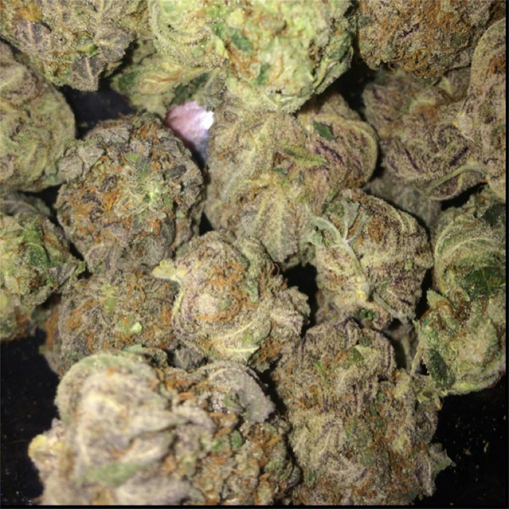 Romulan Weed Strain Information Leafly