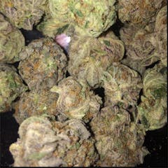 User uploaded image of Romulan