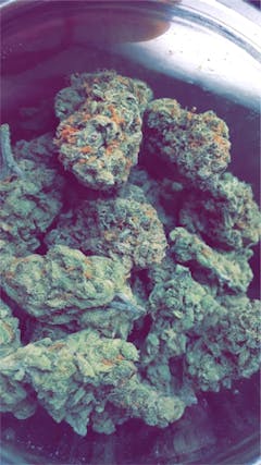 User uploaded image of Romulan