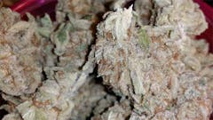 User uploaded image of Root Beer Kush