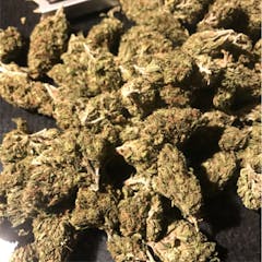 User uploaded image of Rose Bud