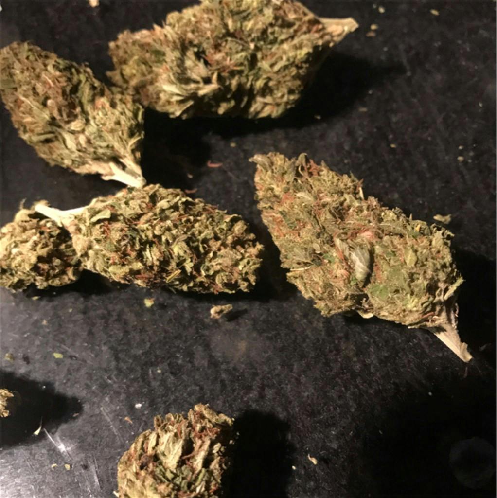 Rose Bud Weed Strain Information Leafly