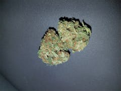 User uploaded image of Rose Bud