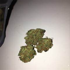 User uploaded image of Rose Bud