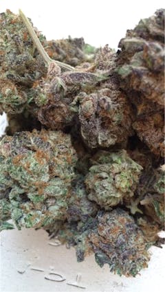 User uploaded image of Royal Chemdawg