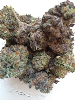 User uploaded image of Royal Chemdawg