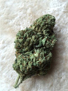 User uploaded image of Royal Chemdawg