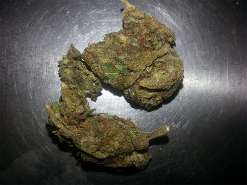 Photos of Royal Dwarf Weed Strain Buds Leafly